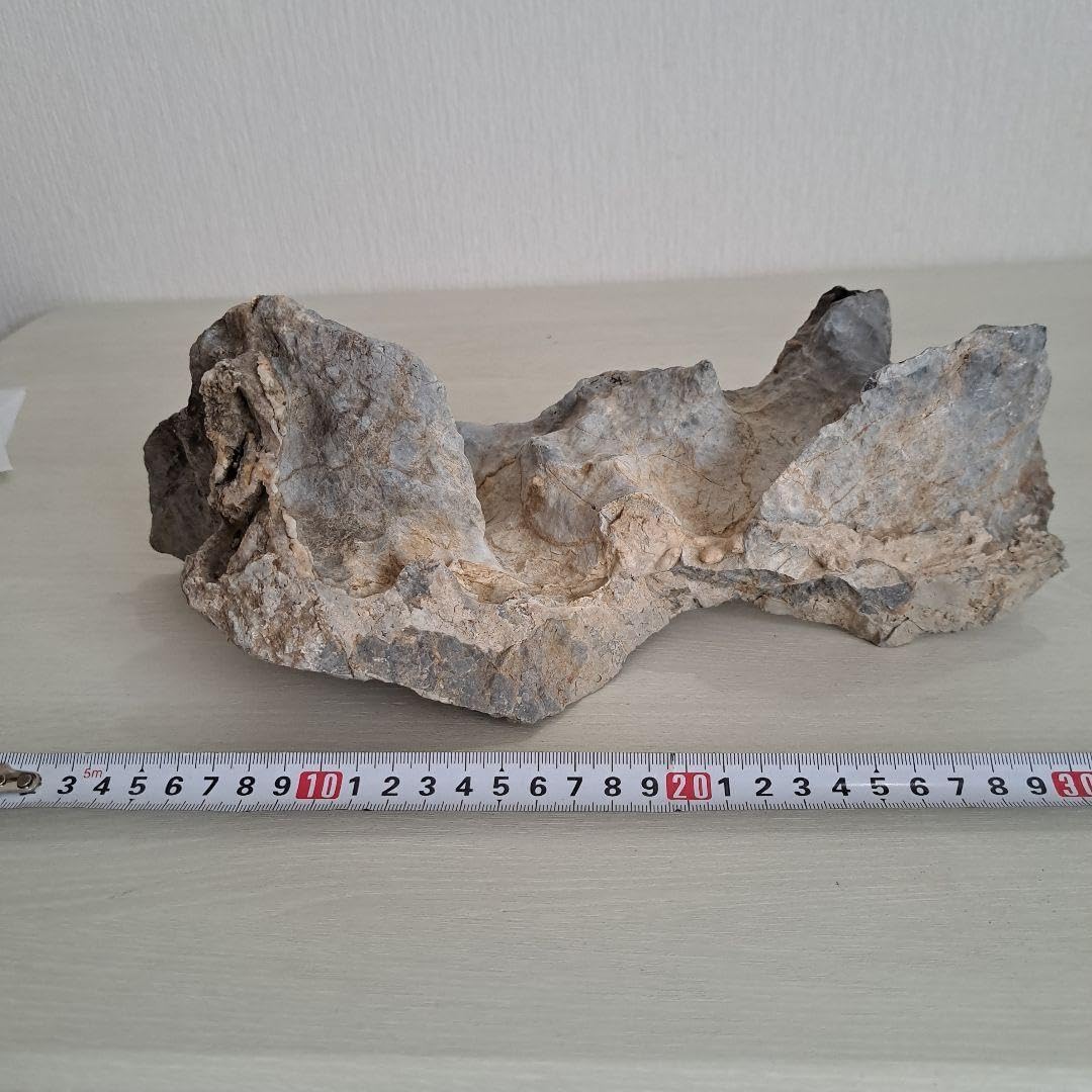 6372 水石 盆栽 北上川石 ウブ 水石 盆栽 盆石 置物 鑑賞石 6372 水石